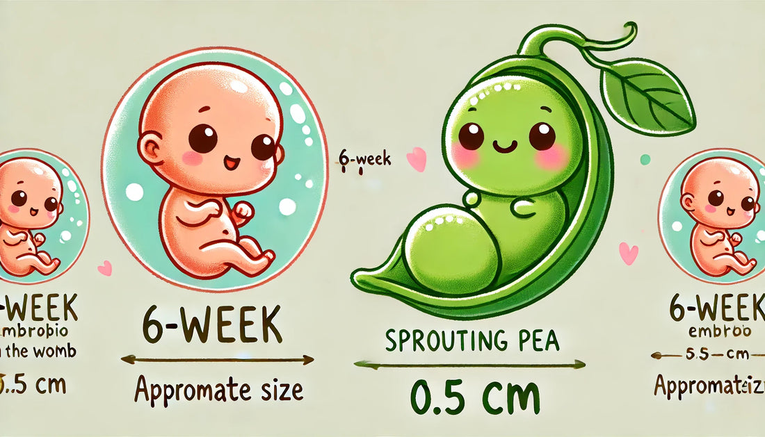 6-weeks-pregnant